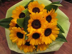 SunFlower��������������������summer)