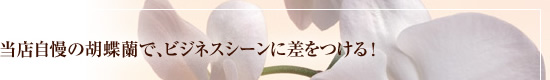 ��Ź�����θ�ij���ǡ��ӥ��ͥ�������˺���Ĥ��롪